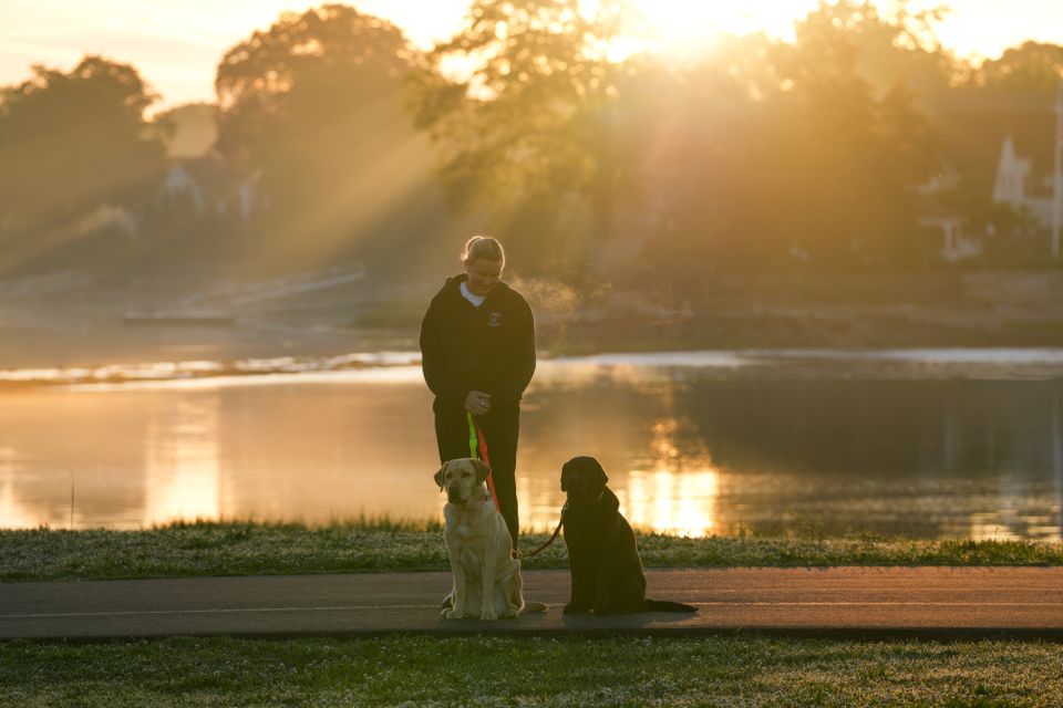A quiet sunrise walk with two dogs beside a lake